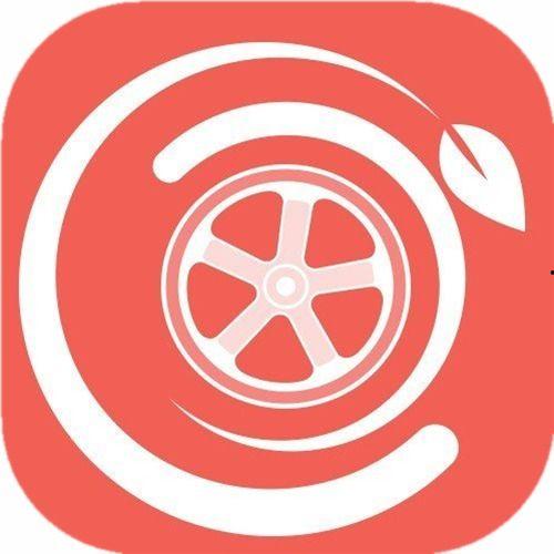 国产青春草原视频免费,国产草原视频中的青春旋律与自由梦想  第1张