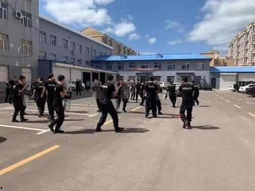 国产青春草原视频免费,国产草原视频中的青春旋律与自由梦想  第3张