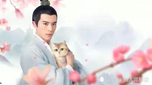 人人视频好看的国产剧  第2张