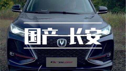 国产车大佬互推视频  第3张