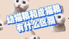 国产猫粮科普视频下载  第3张