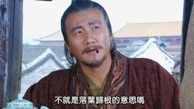国产探剧解说视频大全,揭秘悬疑背后的精彩瞬间  第2张