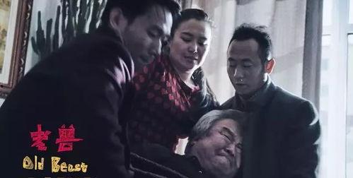 国产高清老人性视频,温情脉脉的晚年生活画卷  第1张